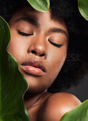 Buy stock photo Face, black woman and leaves with natural skincare, nature and eco friendly beauty and cosmetics on studio background. Facial, green and African female model, skin glow and sustainable dermatology