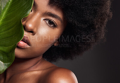 Buy stock photo African woman, leaf and studio portrait with beauty, afro and wellness with natural glow on skin by dark background. Young model, girl and plant for skincare, organic makeup and clean aesthetic