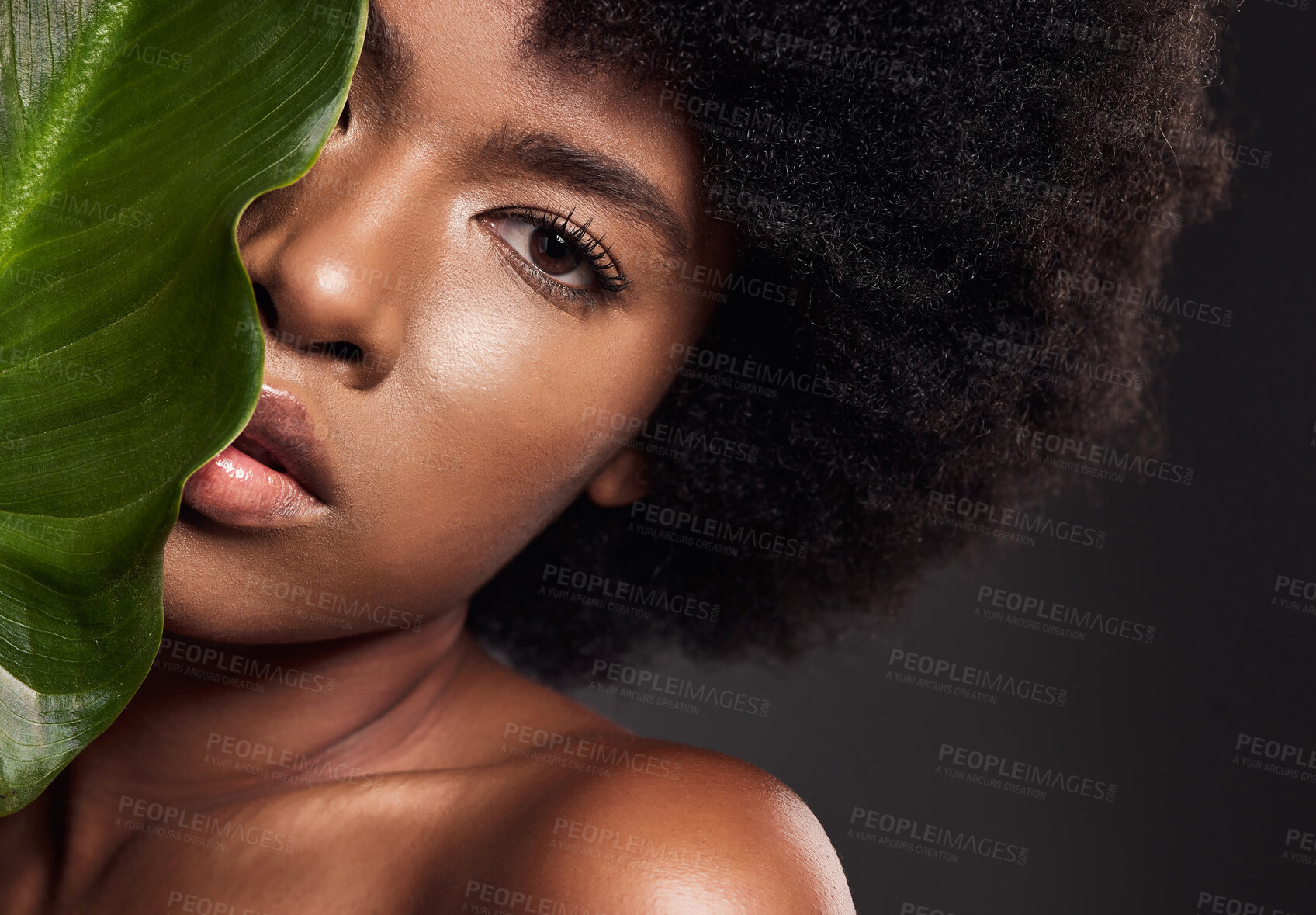 Buy stock photo African woman, leaf and studio portrait with beauty, afro and wellness with natural glow on skin by dark background. Young model, girl and plant for skincare, organic makeup and clean aesthetic