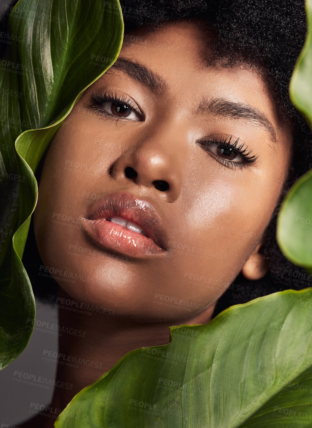 Buy stock photo Face, black woman and leaves with natural beauty, nature and eco friendly skincare and portrait on studio background. Facial, green and African female model with skin glow and sustainable dermatology