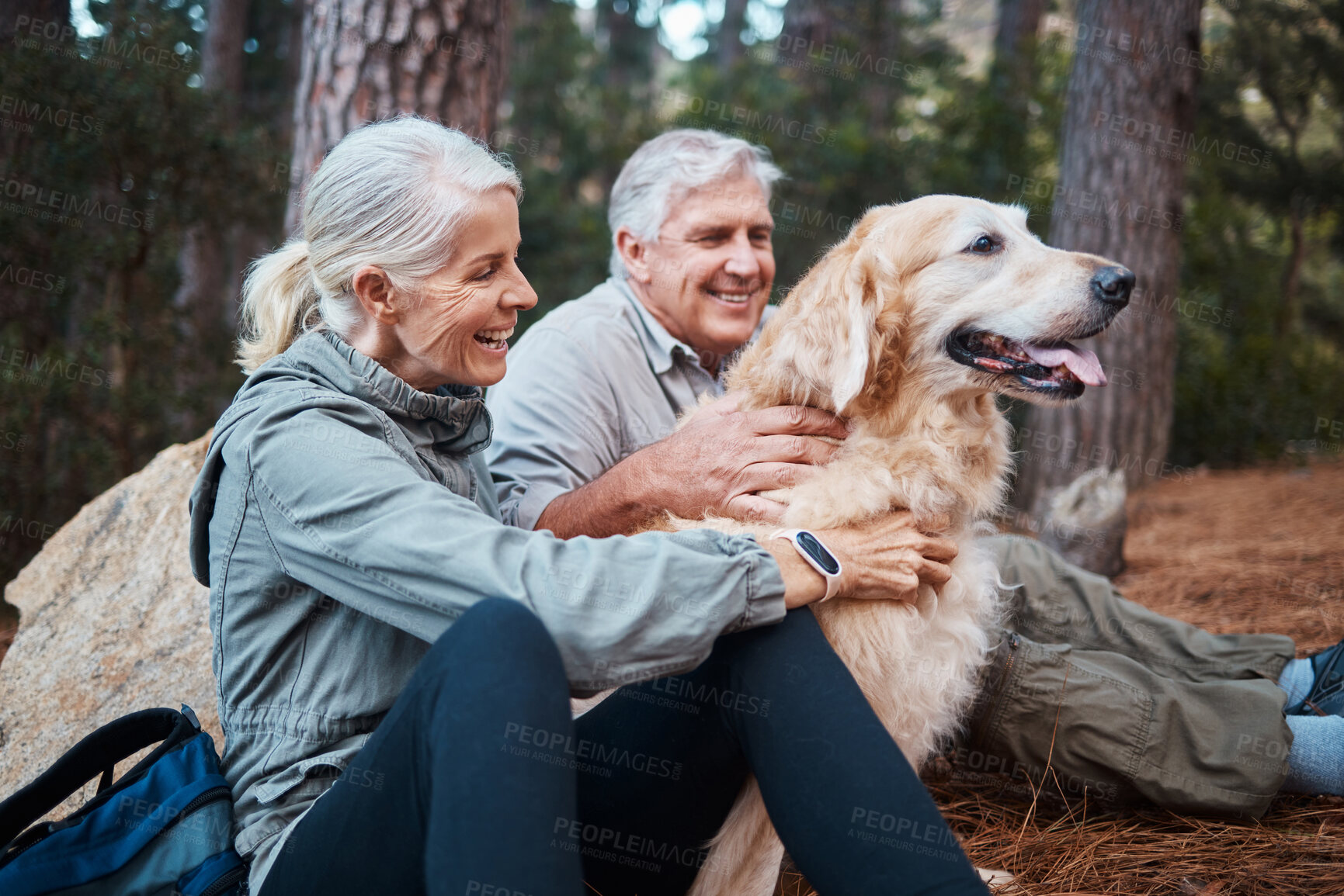 Buy stock photo Senior couple, hiking and dog outdoor in nature for exercise, fitness and trekking for health and wellness. Old man, woman and golden retriever pet on hike in forest for workout, cardio and happiness