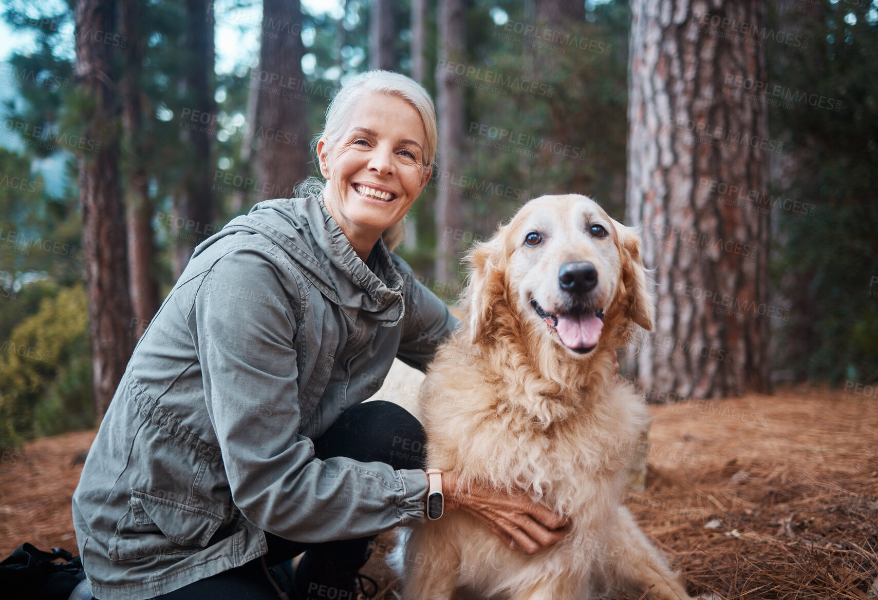 Buy stock photo Elderly woman, portrait and hiking with dog in forest and fitness, travel and pet with love and care. Nature, trekking and vitality, mature female in retirement and golden retriever puppy outdoor