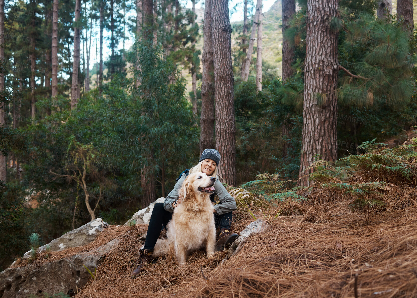 Buy stock photo Senior woman, hiking with dog in forest and adventure, fitness with travel and pet with love and care. Nature, trekking and vitality with mature female and puppy outdoor with wellness and retirement