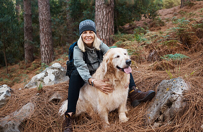 Buy stock photo Adventure, explore and woman hiking with her dog, pet or animal in the winter forest for exercise, workout or fitness. Trekking, travel and elderly or senior female trekking in the woods on holiday