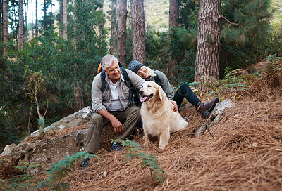Buy stock photo Nature, hiking and elderly couple with their dog in the forest for wellness cardio exercise. Happy, travel and senior man and woman hikers in retirement trekking with their pet in woods in Australia.