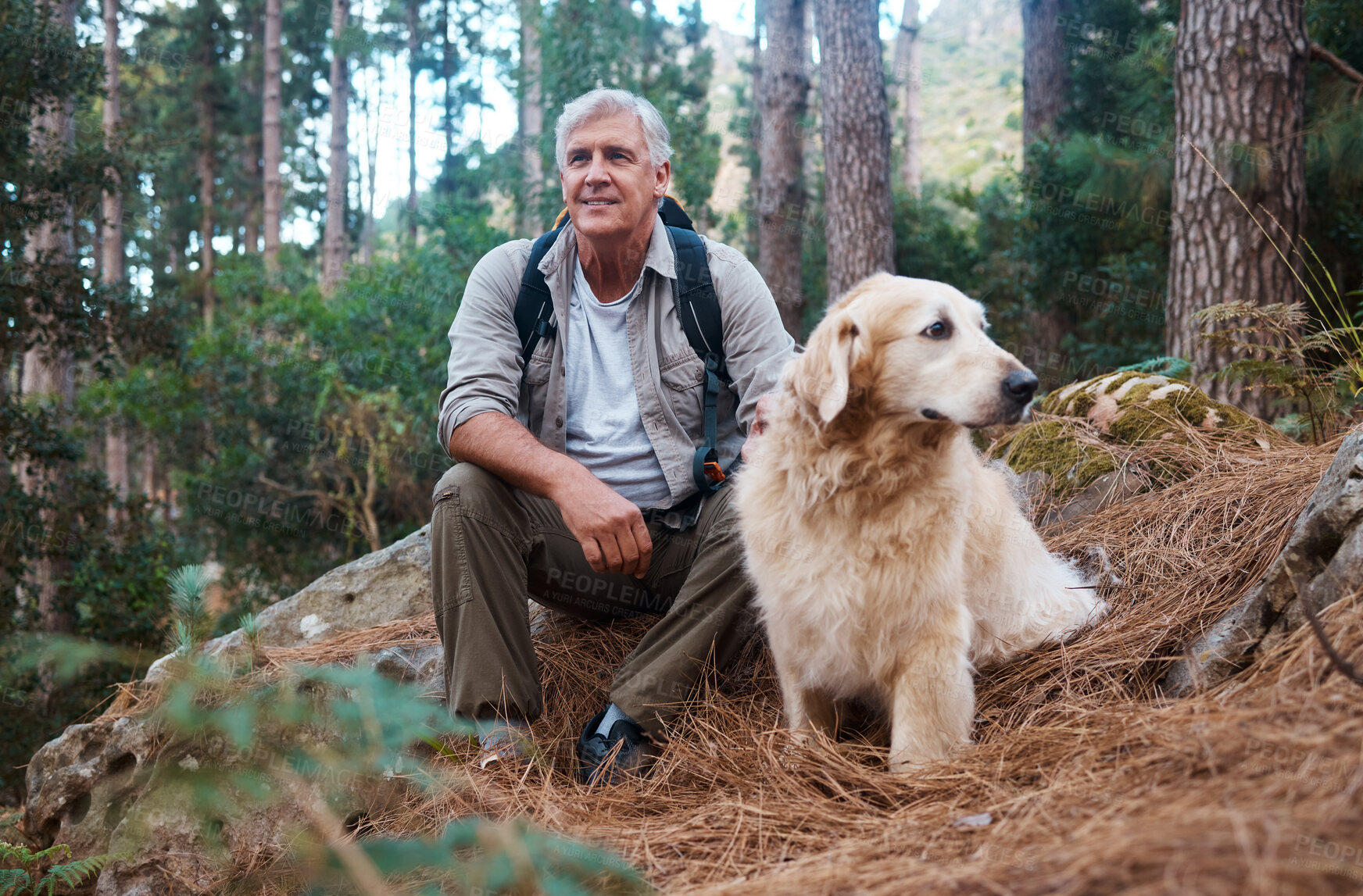 Buy stock photo Adventure, explore and man hiking with her dog, pet or animal in the winter forest for exercise, workout or fitness. Trekking, travel and elderly or senior male trekking with a puppy on holiday