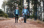 Hiking is fun and keeps us physically active