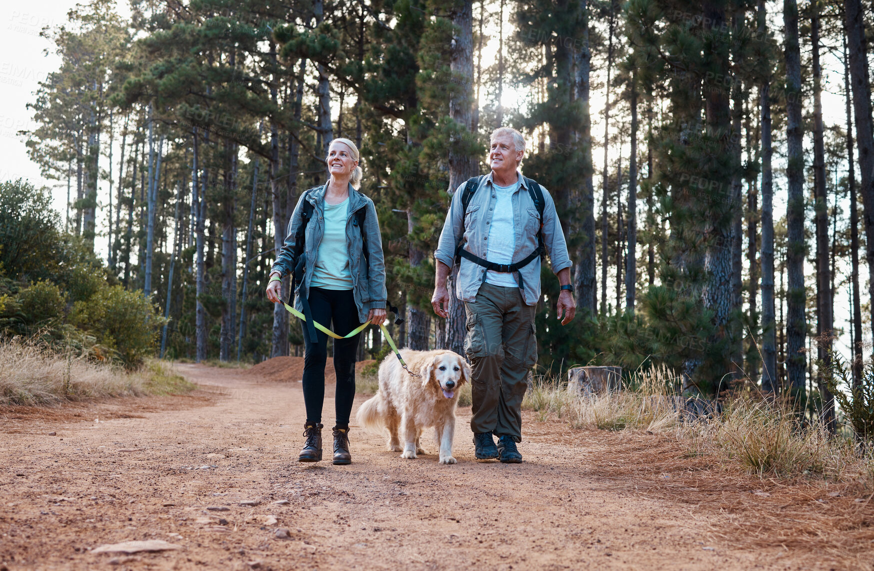 Buy stock photo Forrest, hiking and old couple with dog on nature walk in mountain in Peru for fitness and exercise. Travel, man and woman on hike with Labrador pet, love and health on retirement holiday adventure.