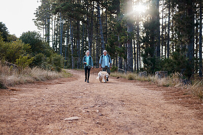 Buy stock photo Forrest, hiking and old couple walking dog on path in mountain in Australia for fitness and exercise. Travel, man and woman on hike with Labrador pet, love and health on retirement holiday adventure.