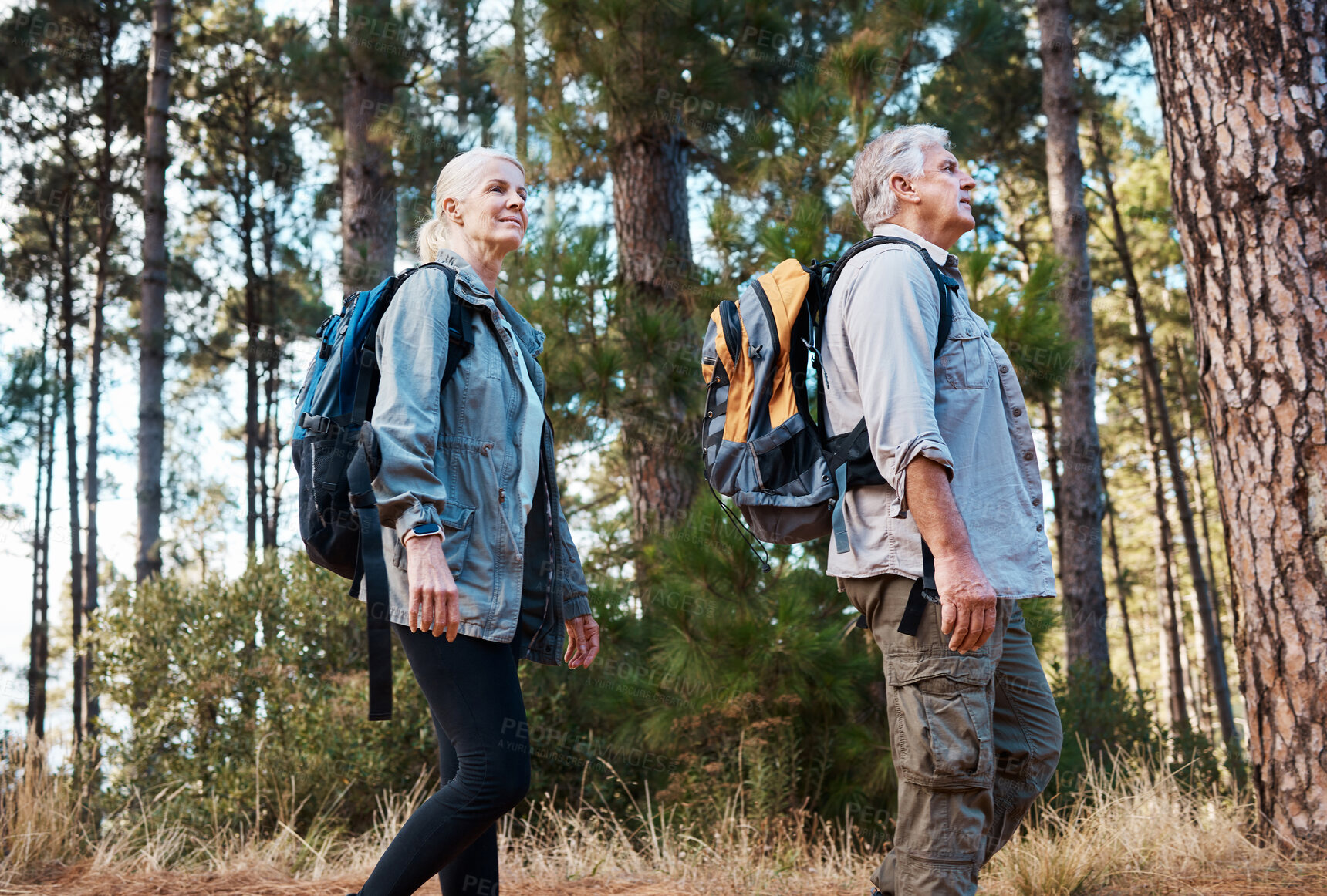 Buy stock photo Forest, retirement and hiking, mature couple with backpack on nature walk and mountain path in USA. Travel, senior man and woman on exercise hike with love, health and trekking on holiday adventure.