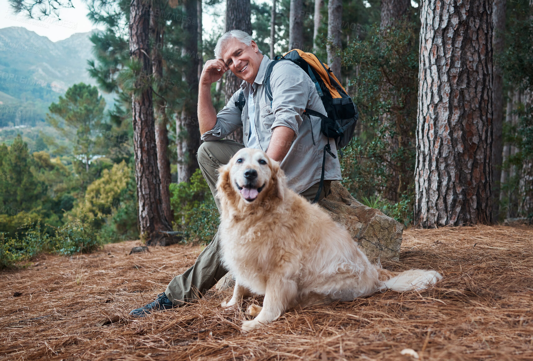 Buy stock photo Man, hiking and happy dog outdoor in nature for exercise, fitness and trekking for health and wellness. Senior male and pet animal portrait on hike in forest for workout and cardio with backpack