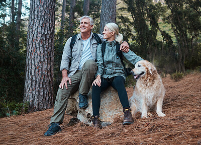 Buy stock photo Forest, hiking and old couple with dog sitting on rock in mountains in Peru on retirement holiday adventure. Travel, senior man and woman relax together on nature walk with love, Labrador and health.