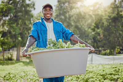 Buy stock photo Happy, black man or portrait with bucket for agriculture, fresh produce or harvest at farm. Young African, male person or farmer with smile or plants for organic production, herbs or crops in Nigeria