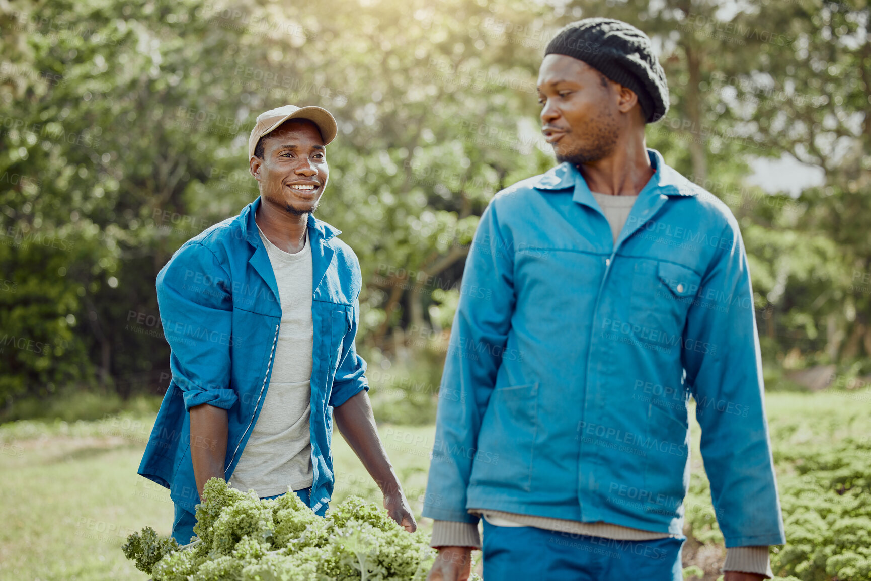 Buy stock photo Black people, farming or harvest with bucket for fresh produce, agriculture or organic production in nature. African, men or farmers with crops for sustainable, agro business or gardening service