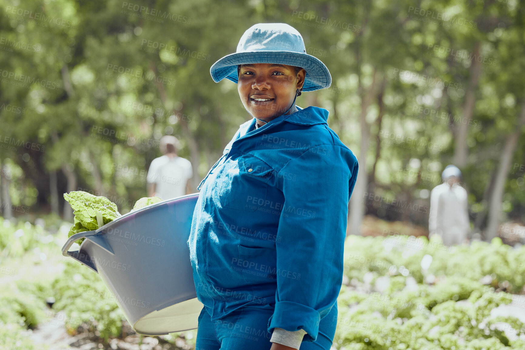 Buy stock photo Happy, portrait and black woman with bucket for farming, harvest or agriculture in countryside. Young African, female person or farmer with smile for conservation, crops or natural organic production