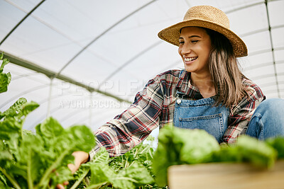 Buy stock photo Shot of a young woman harvesting crops on her farm