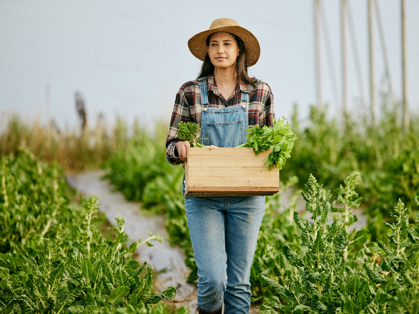 Buy stock photo Shot of a young female farmer carrying freshly harvested produce