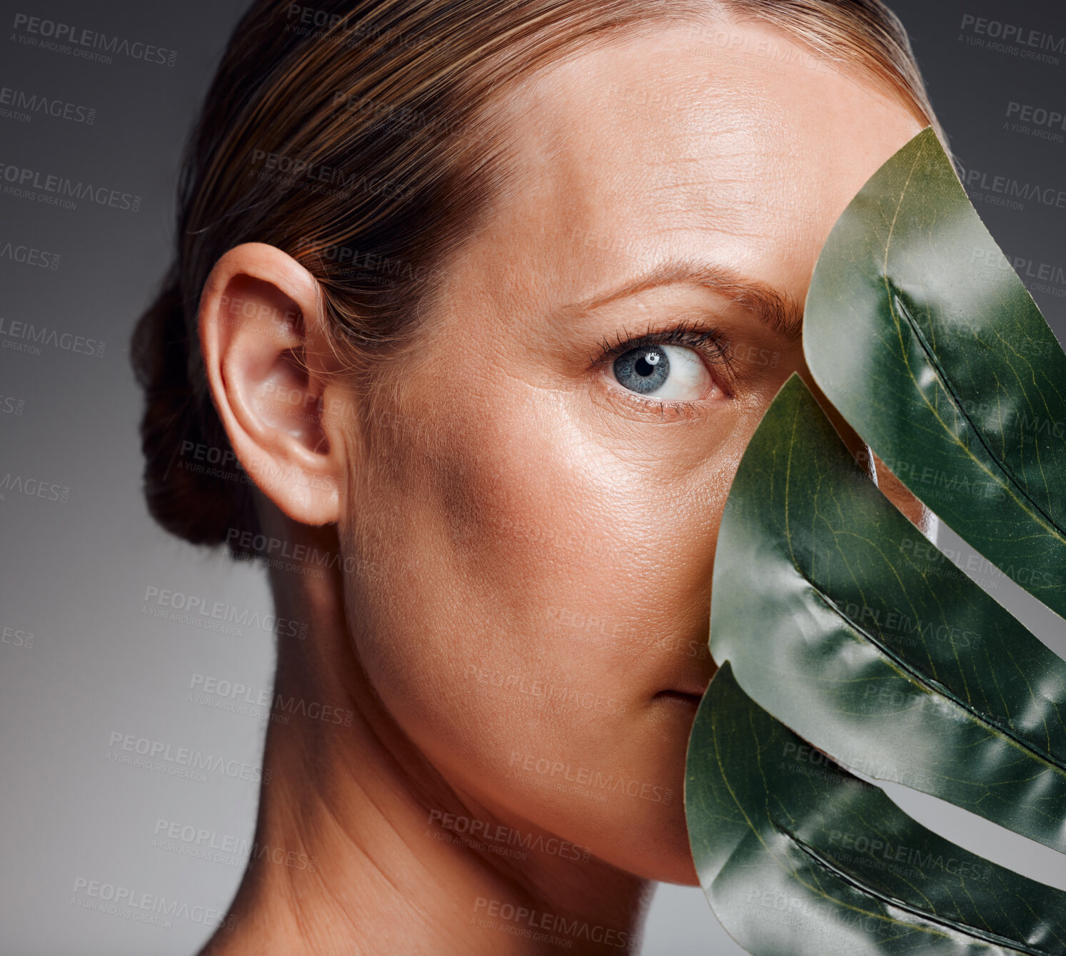 Buy stock photo Portrait, skincare and woman with monstera leaf for glow, results or organic treatment. Face, cosmetics and mature model with plant for natural beauty, detox or anti aging on gray studio background