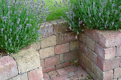 Buy stock photo A series of photos of architectural details