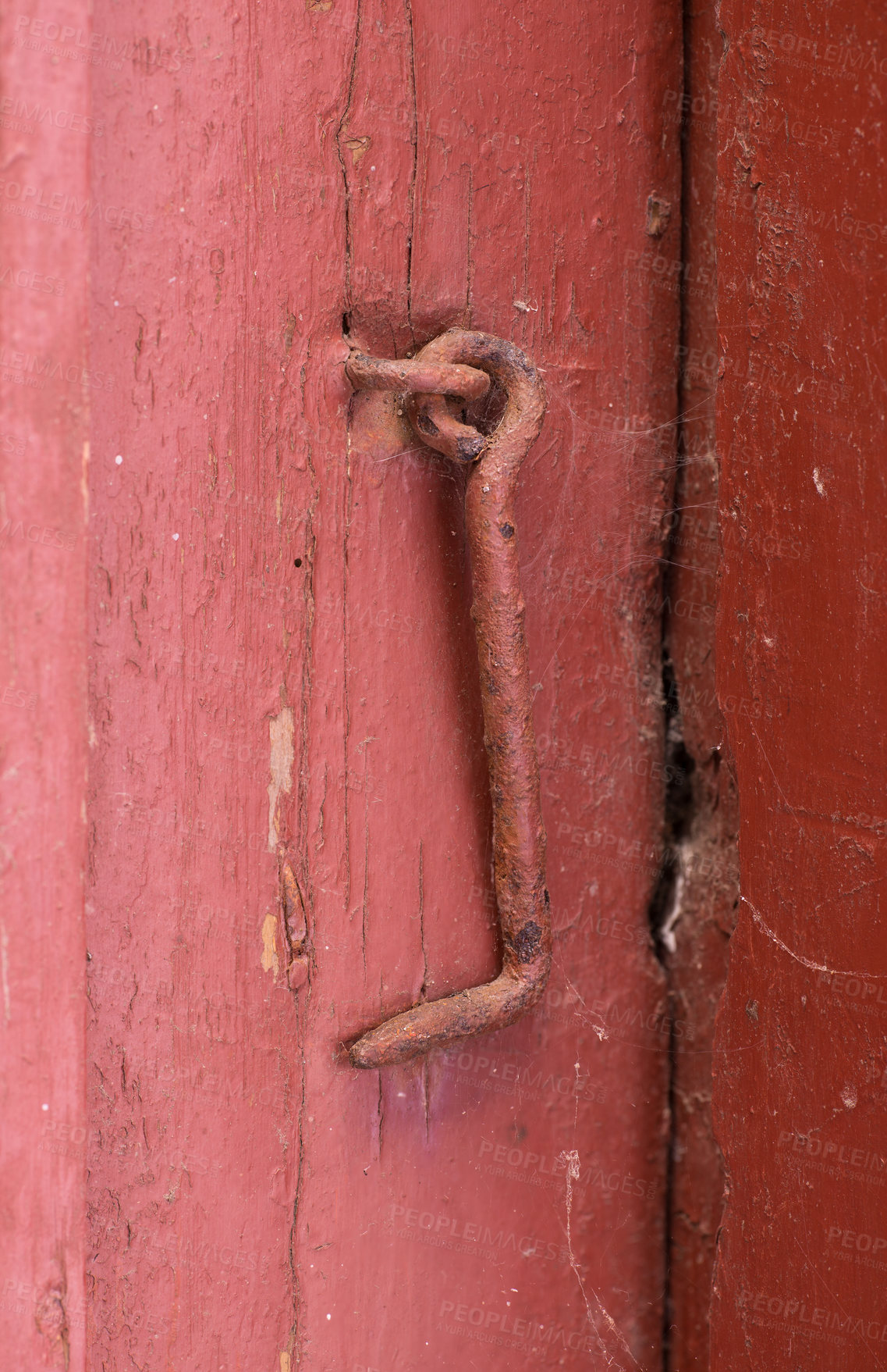 Buy stock photo Closeup of textured red door with a rusty metal hook. Bright wooden doorway and doorframe aged with cracked patterns, scuff marks and chipped wood. Exterior view of entrance to old and worn woodshed