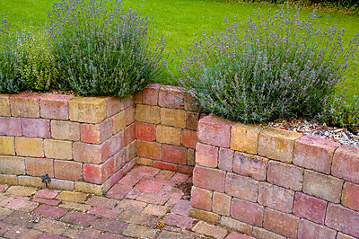 Buy stock photo Above shot of a small brick wall with plants growing on top of it surrounding an open green field. Beautiful architecture enhancing the natural beauty of a public garden