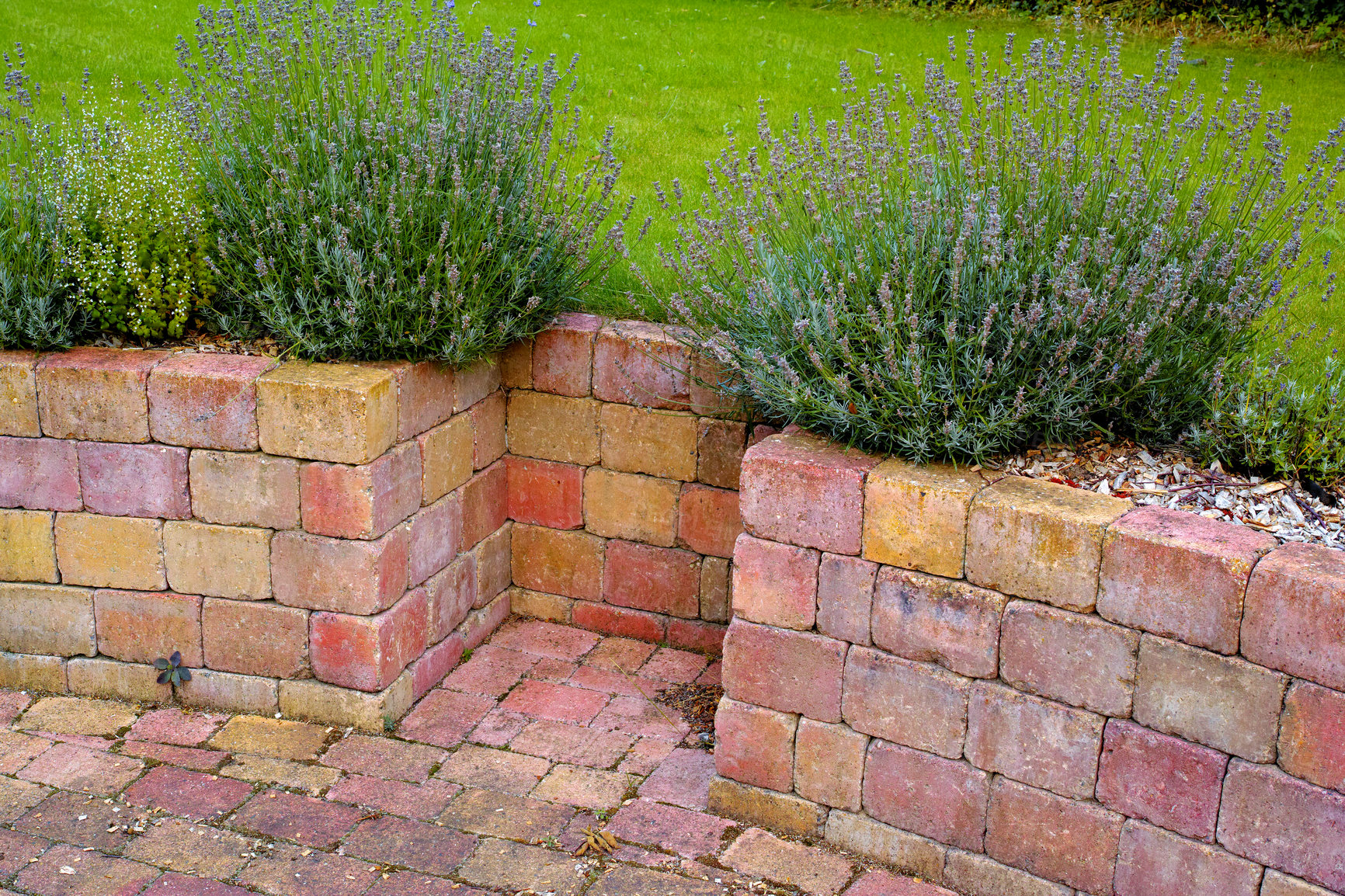 Buy stock photo Above shot of a small brick wall with plants growing on top of it surrounding an open green field. Beautiful architecture enhancing the natural beauty of a public garden