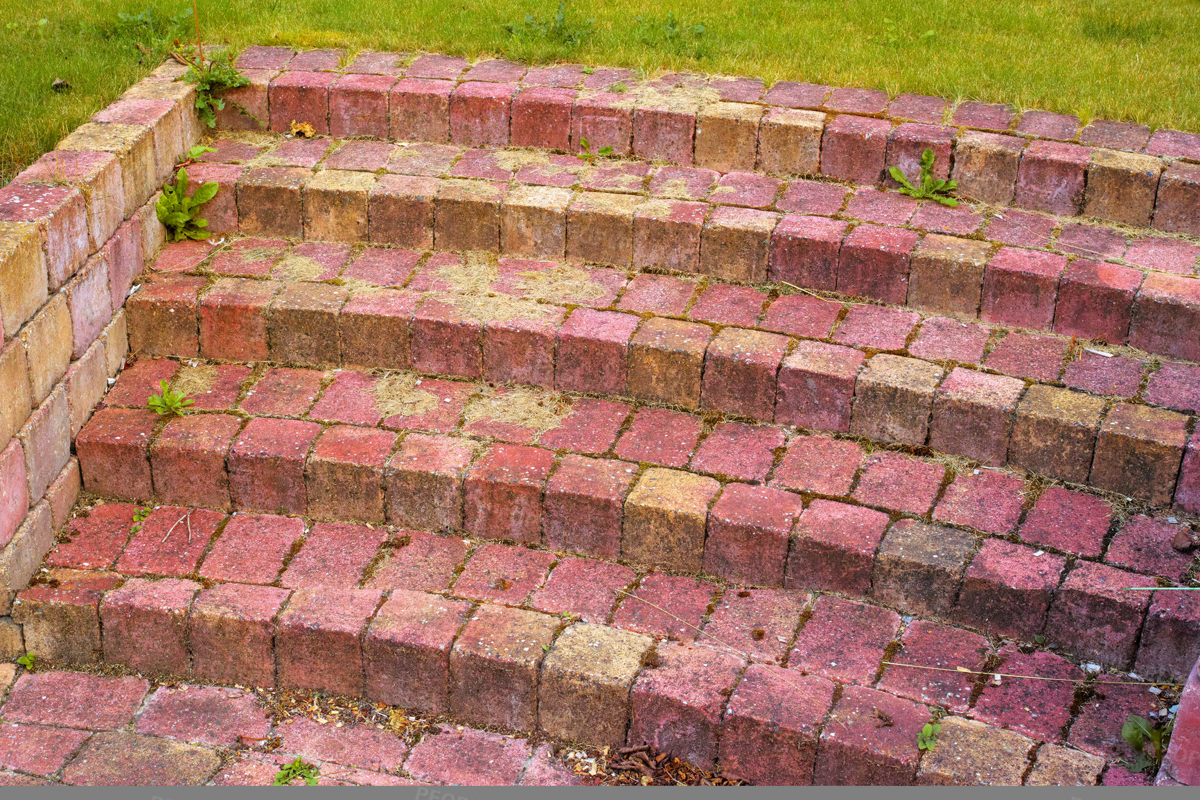 Buy stock photo Bricks, staircase and grass field with architecture for pathway, trail or concrete detail in nature or garden. Empty, stairs and leaves with stone steps for decor, property design or outdoor building