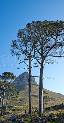 Buy stock photo A photo of Lions Head and surroundings. Cape Town, Western Cape, South Africa.