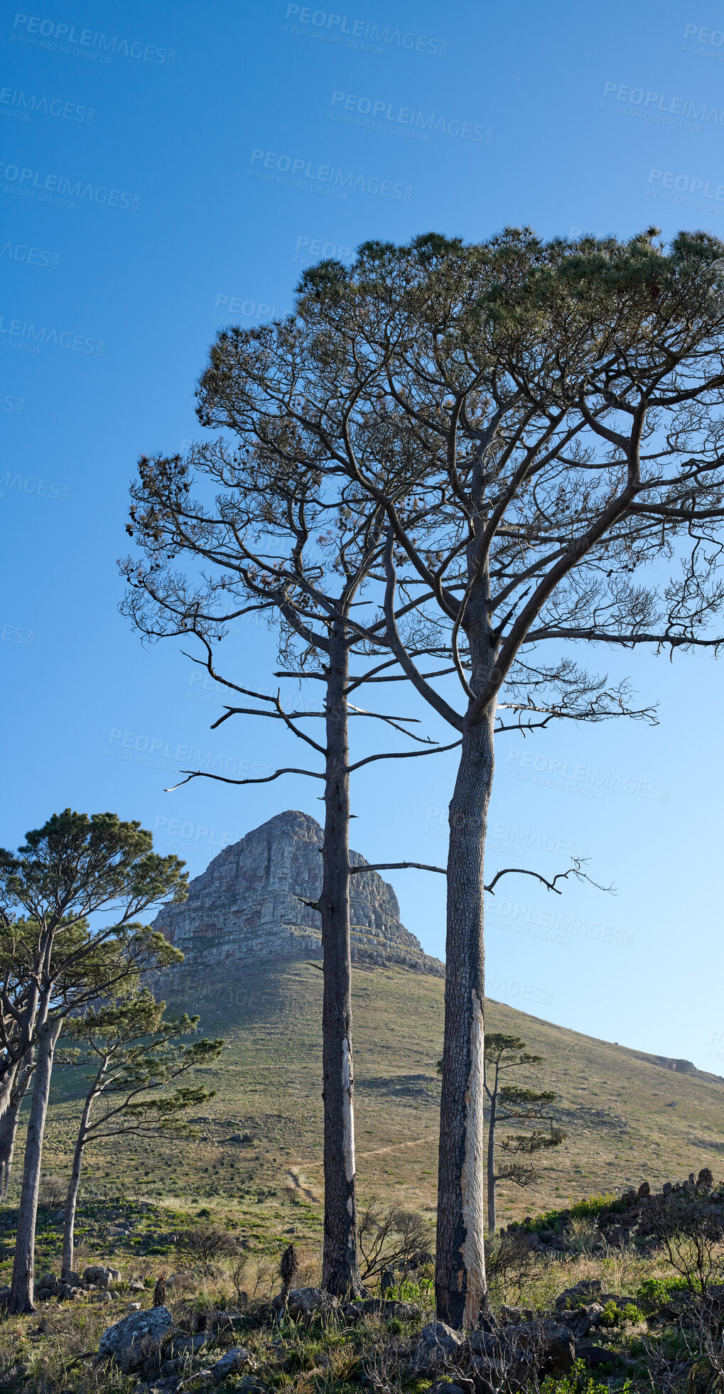 Buy stock photo A photo of Lions Head and surroundings. Cape Town, Western Cape, South Africa.