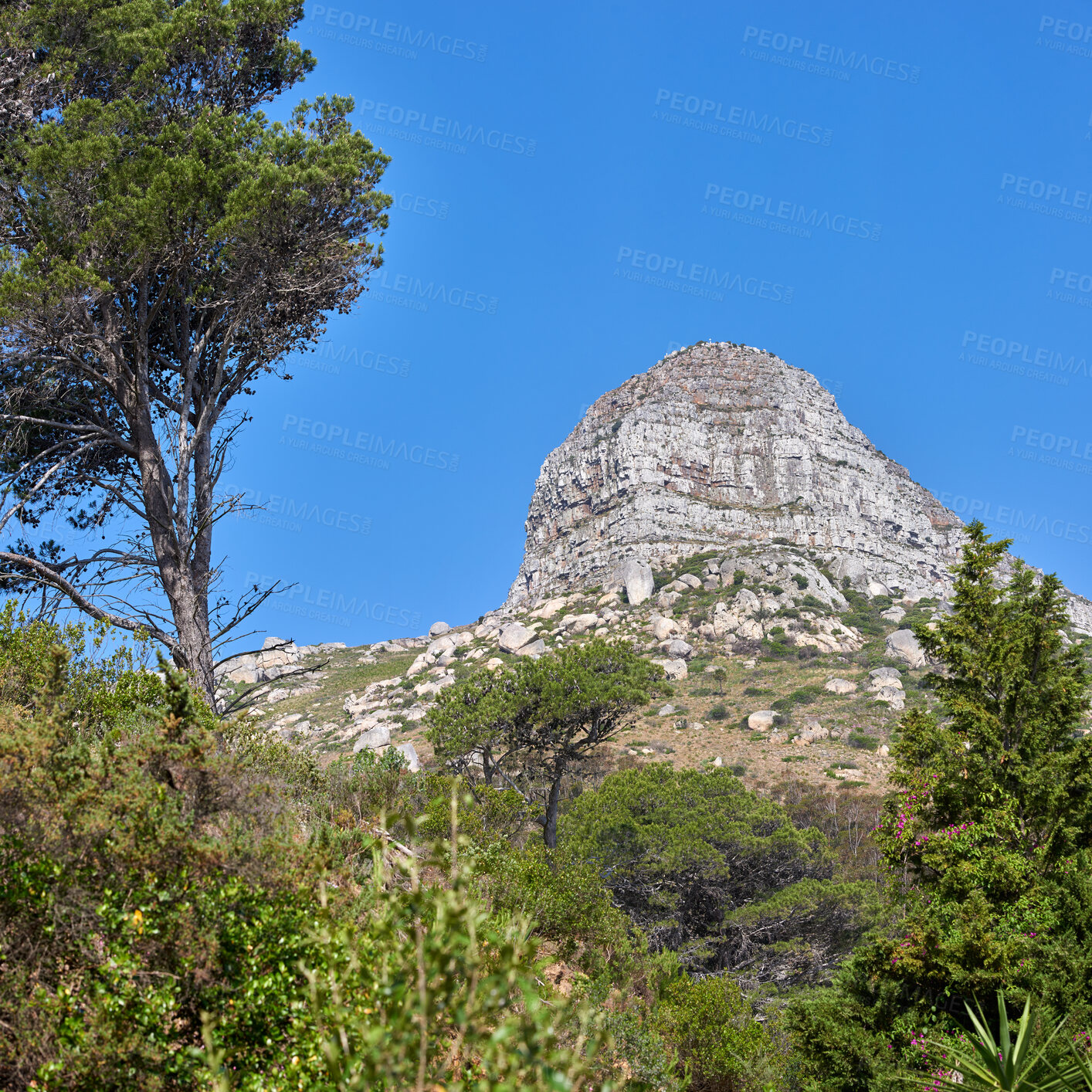 Buy stock photo A photo of Lions Head and surroundings
