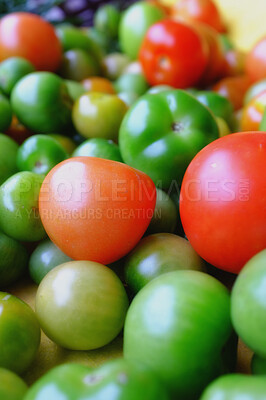 Buy stock photo Closeup of green and red  tomato. Raw tomatoes in different stages of ripeness, green, red, organic, from above. Zoom on fresh, healthy, raw tomato produce. Harvested tomato for delicious meals