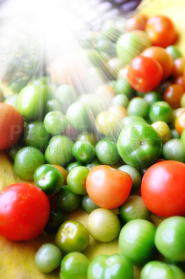 Buy stock photo A soft photo of a lot of tomatoes