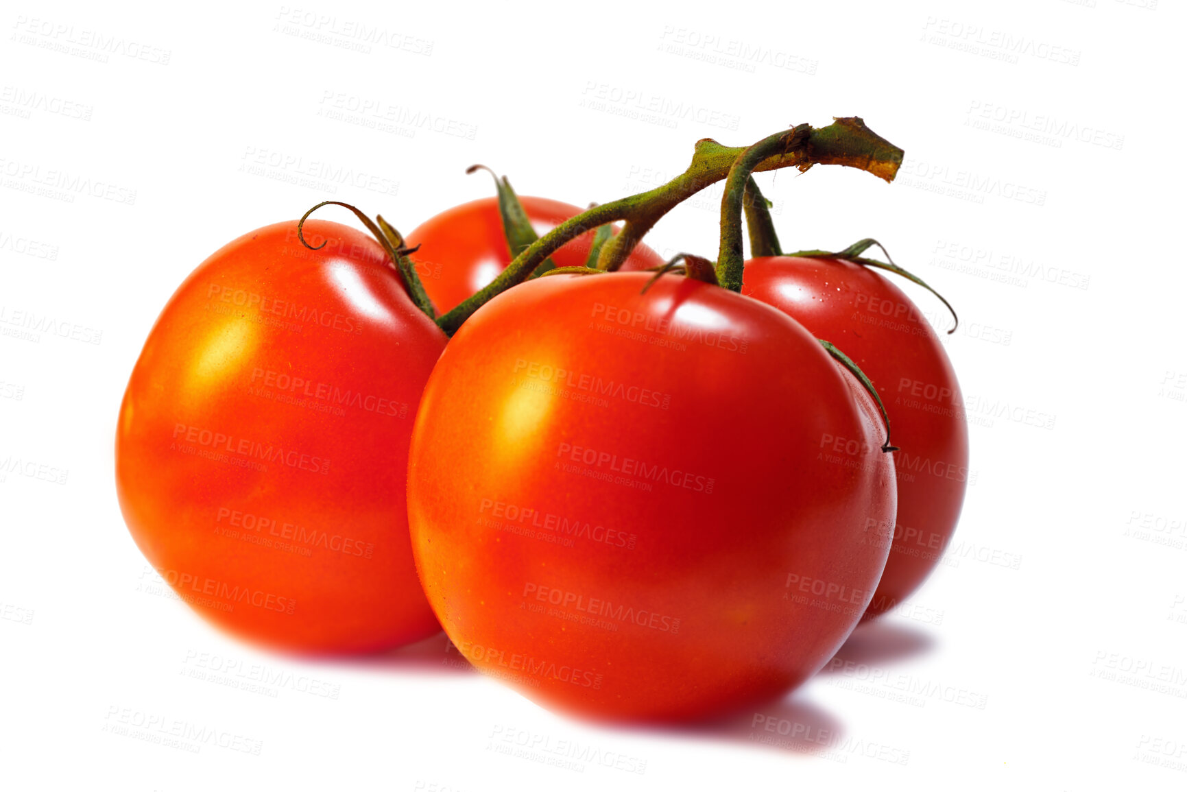 Buy stock photo One whole bright red fresh tomato, vegetable isolated inside of a bright studio against a white background. Fresh from the farm. A healthy and nutritious snack to add to your vegan or vegetarian diet