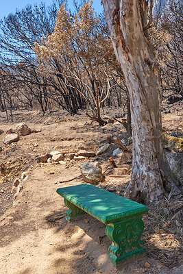 Buy stock photo Green bench in a park. Photo of a public bench in the woods. A vintage seat in a dry and arid forest on a hot summer day. Take time to rest and a break. Stop and enjoy the view nature has to offer