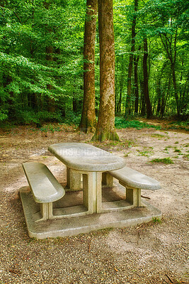 Buy stock photo A bench made of concrete and ceramics outside in a luscious green forest during summer or spring. A quiet place to enjoy nature and the view the woods have to offer. A tranquil place amongst the trees