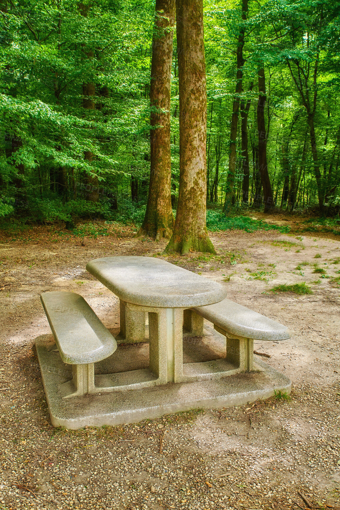 Buy stock photo A bench made of concrete and ceramics outside in a luscious green forest during summer or spring. A quiet place to enjoy nature and the view the woods have to offer. A tranquil place amongst the trees