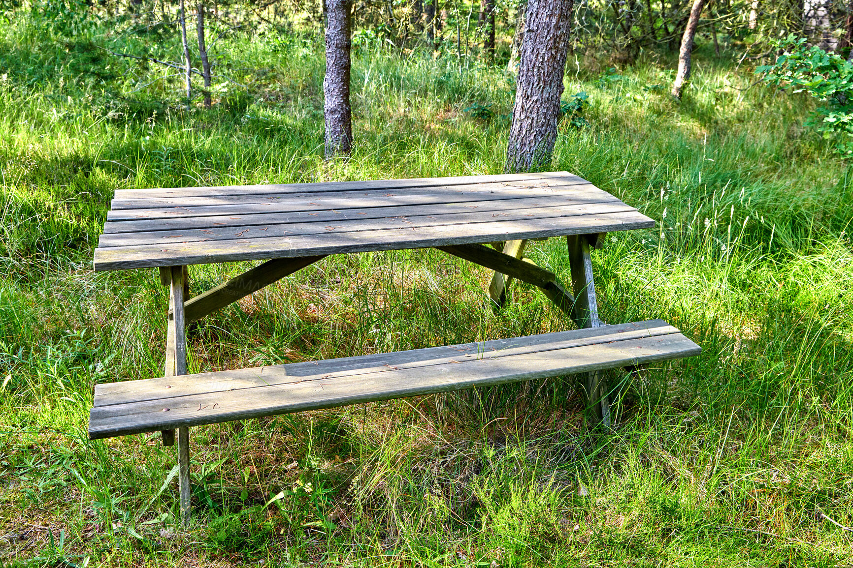 Buy stock photo An old wooden bench in an open field outside with a forest in the background. Find a quiet place to enjoy the beauty of nature. The woods can be a peaceful and tranquil place when you need to be alone