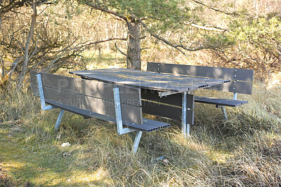 Buy stock photo Still life of a public bench and table in a forest on a sunny day