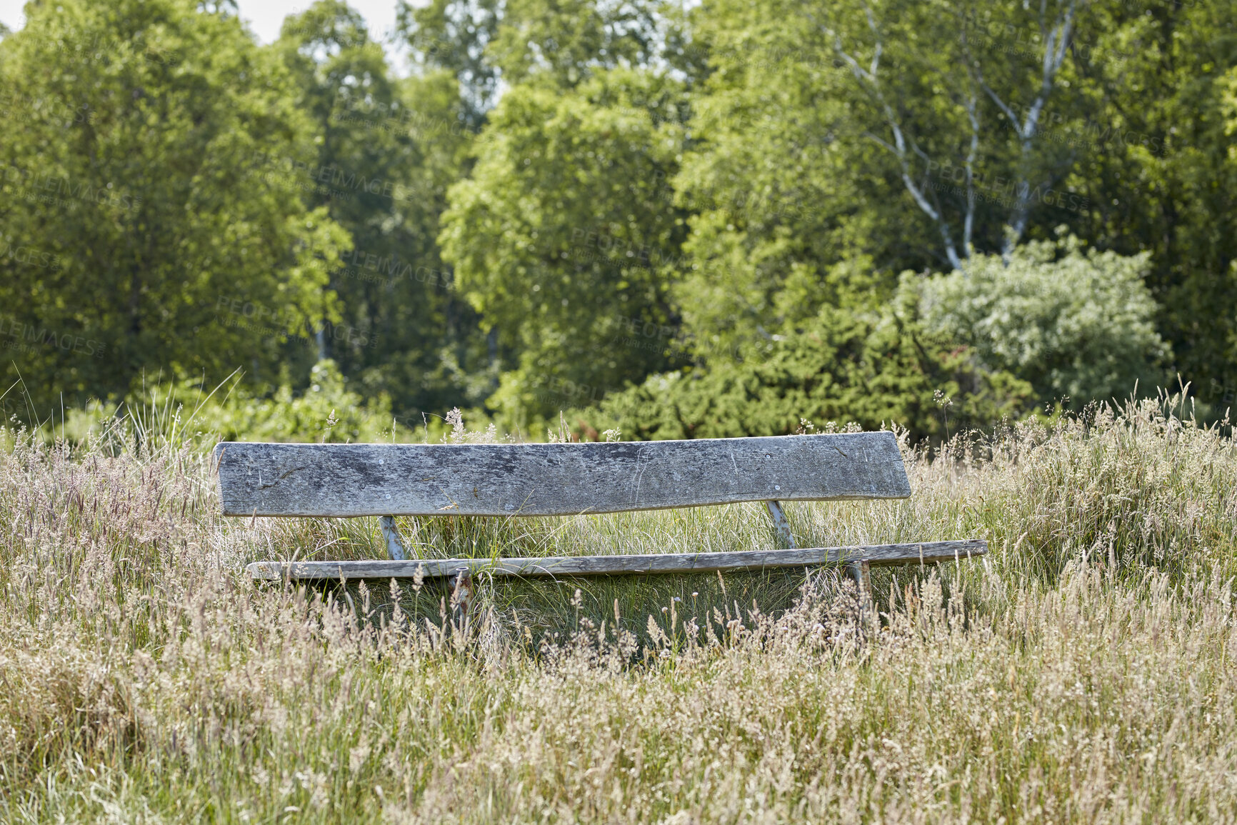 Buy stock photo An old wooden bench in an open field outside with a forest in the background. Find a quiet place to enjoy the beauty of nature. The woods can be a peaceful and tranquil place when you need to be alone