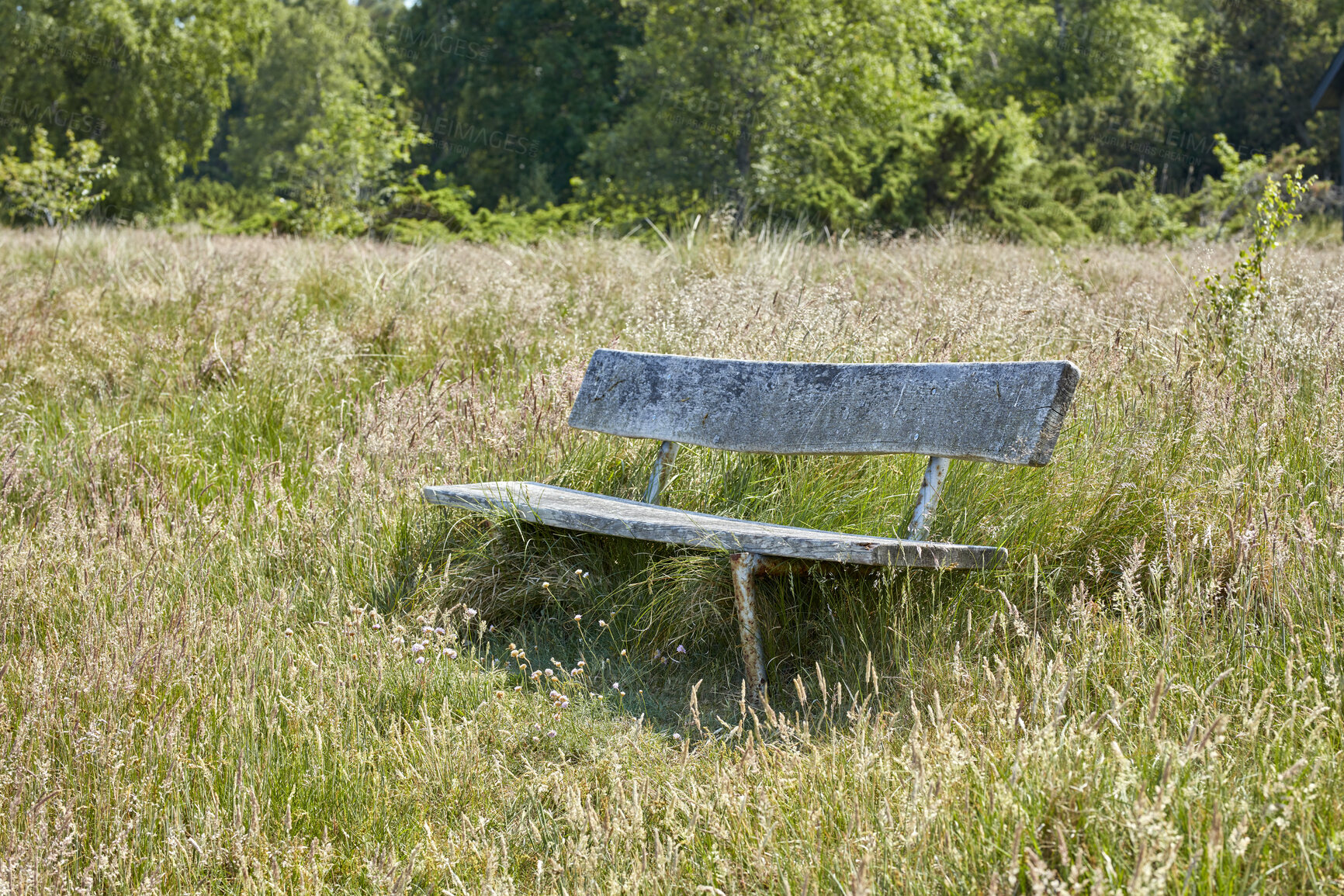 Buy stock photo An old wooden bench in an open field outside with a forest in the background. Find a quiet place to enjoy the beauty of nature. The woods can be a peaceful and tranquil place when you need to be alone