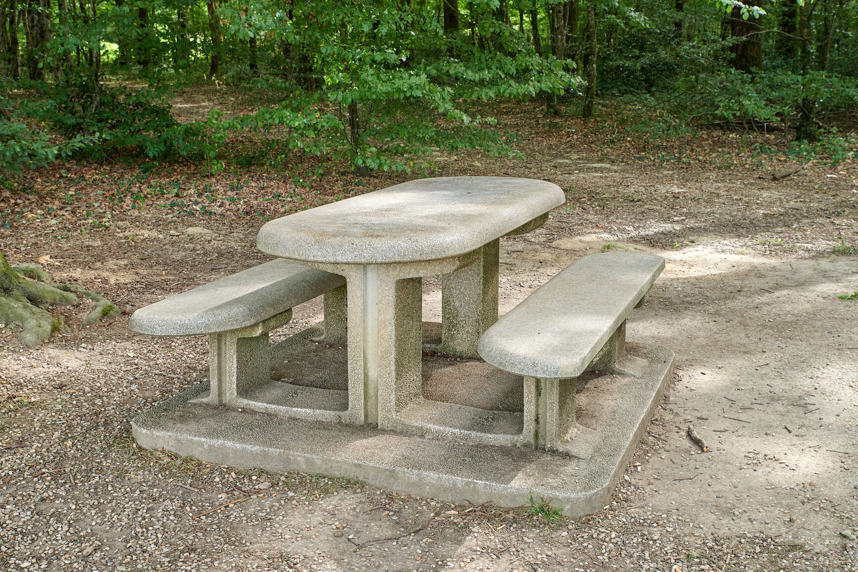 Buy stock photo A bench made of concrete and ceramics outside in a luscious green forest during summer or spring. A quiet place to enjoy nature and the view the woods have to offer. A tranquil place amongst the trees