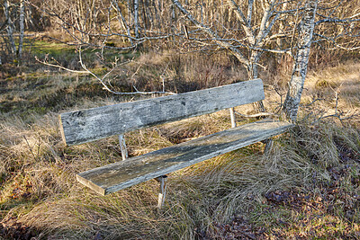 Public bench