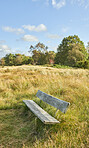 Public bench