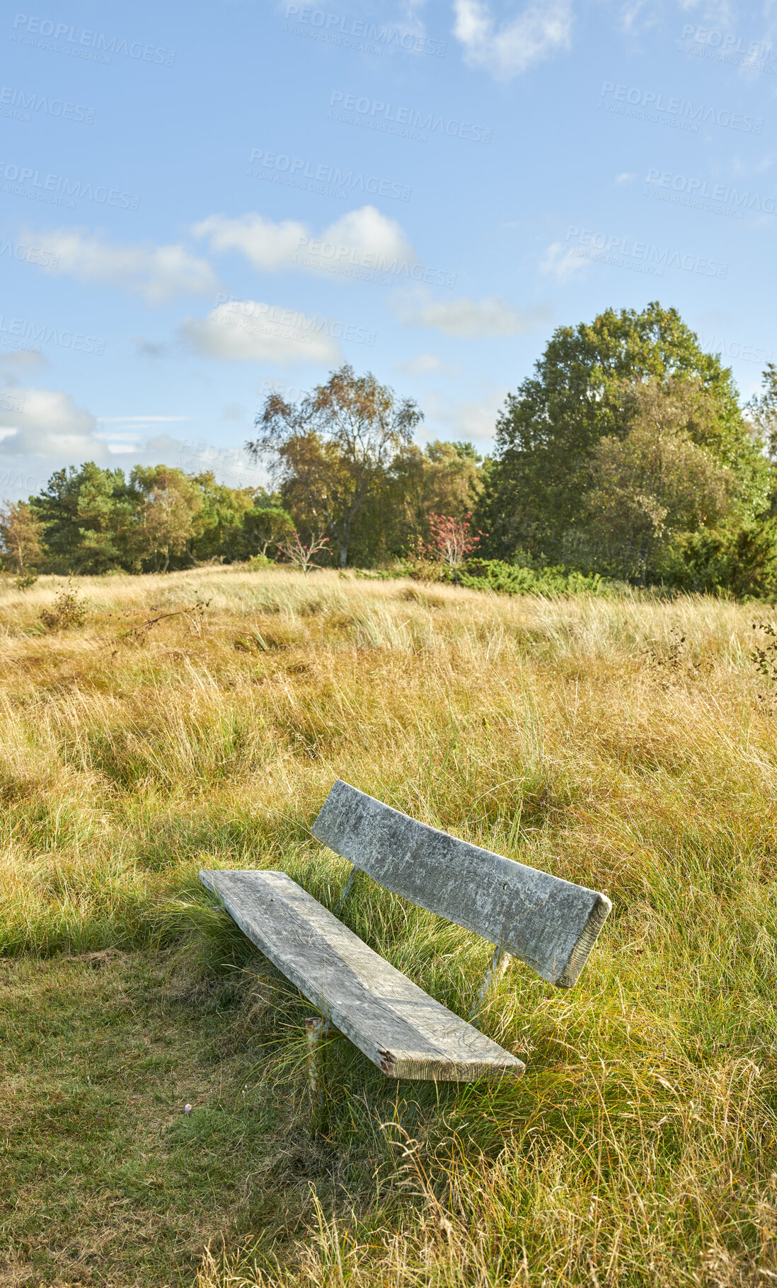 Buy stock photo An old wooden bench in an open field outside with a forest in the background. Find a quiet place to enjoy the beauty of nature. The woods can be a peaceful and tranquil place when you need to be alone