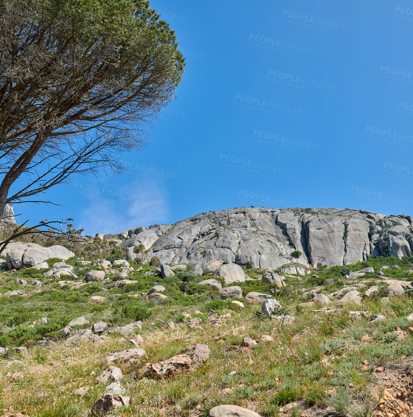 Buy stock photo A photo of Lions Head and surroundings. Cape Town, Western Cape, South Africa.