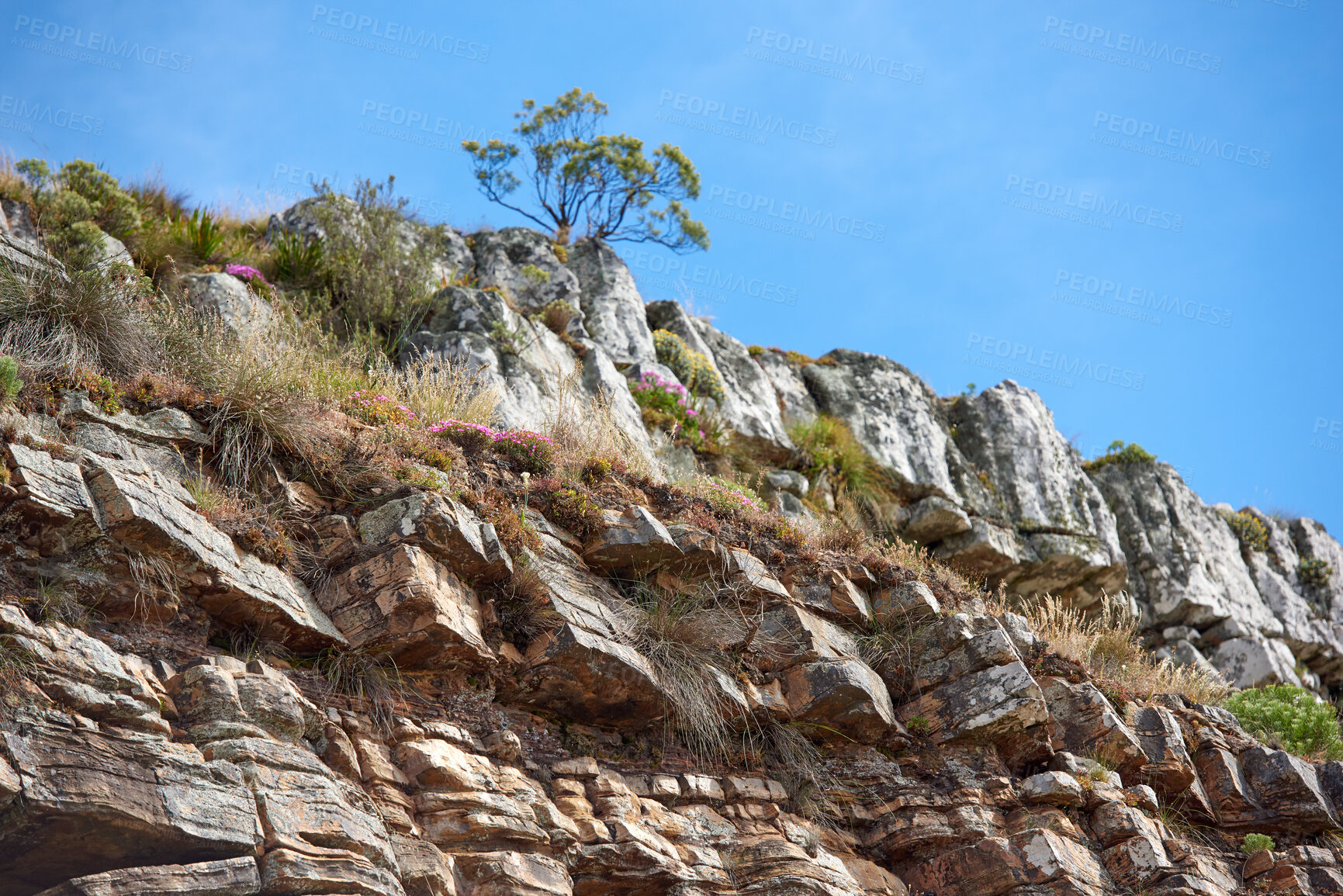 Buy stock photo A photo of Lions Head and surroundings. Cape Town, Western Cape, South Africa.