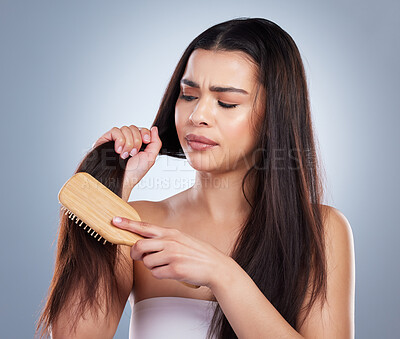 Young mixed race woman looking unhappy while struggling to brush her damaged hair. Woman brushing out knots from her tangled hair