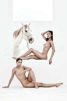 Two beautiful mixed race women posing nude with a white horse outside. Sexy hot hispanic models looking sensual and seductive while flaunting their hot sexy slim naked bodies with a white stallion