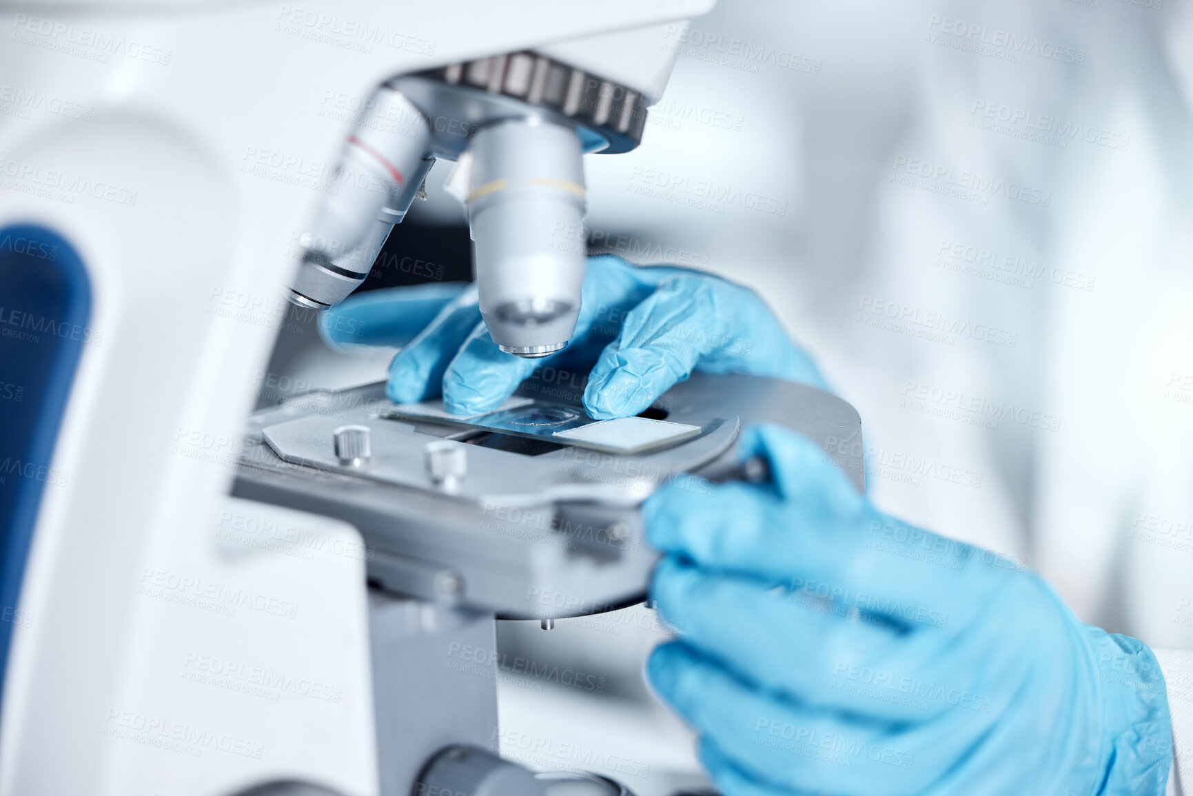 Buy stock photo Closeup of the hands of one young woman wearing a labcoat and gloves and looking at medical samples on a microscope in her lab. A mixed race female scientist wearing goggles conducting research