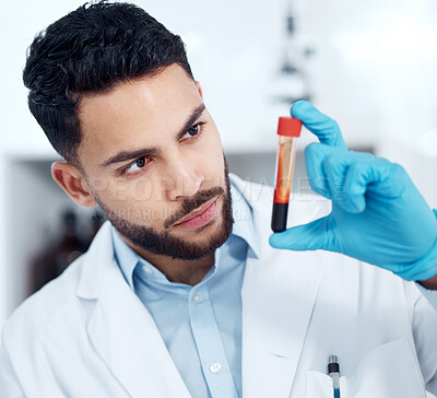 Buy stock photo Closeup of a handsome mixed race young scientist holding a blood sample in a small glass tube container for research in a hospital. Young hispanic professional analyzing a sample in a laboratory while wearing protective gloves for hygiene purposes